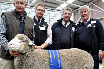 Langdene Merino stud sold 118 of 120 to a top of $7000.