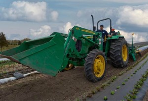 Sustainable Farming and Green Techniques and the Community