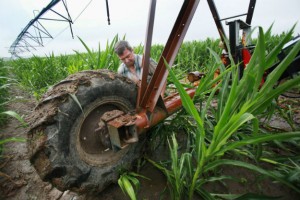 The battle for Pakistan’s agriculture