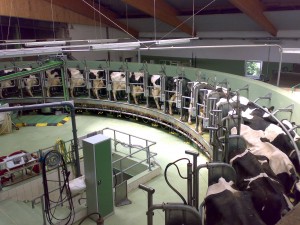 Agribusiness Is Forcing Factory Dairy Farms Down Our Throats