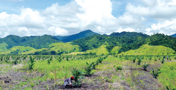 Agribusiness Sector and its Support Institutions