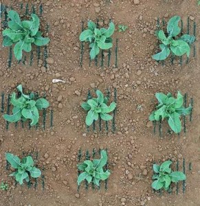 Autonomous Crop Treatment Vehicle2