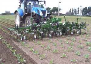 Garford InRow Robocrop Machinery In Agribusiness