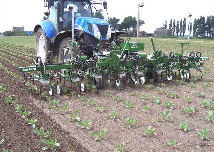 Garford InRow Robocrop Machinery In Agribusiness