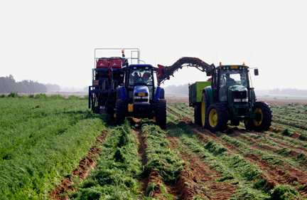 Gujarat farmers set to go Hi-Tech with the help of Israeli Green tech