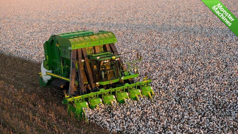 King of the Cotton Pickers