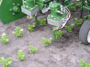 Robocrop InRow - The revolutionary Robot weeder