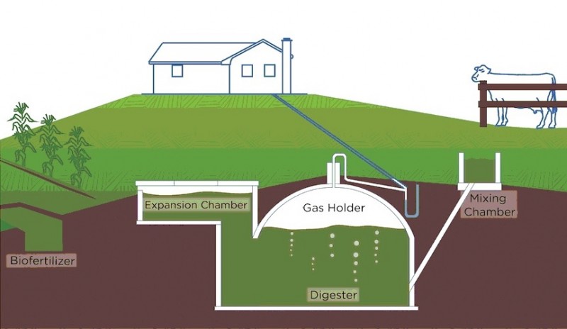 Educational and Training Programs for Biogas