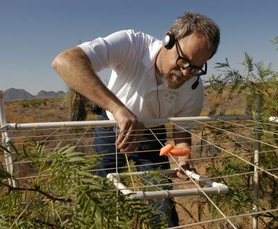Research scientists work to unravel complex arid, semiarid landscapes