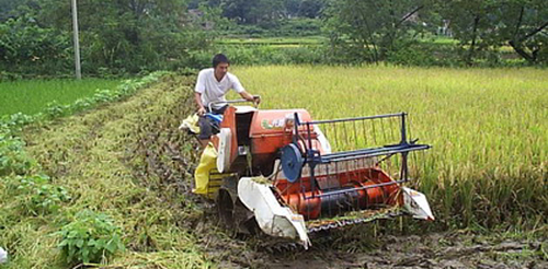 Slf-propelled multi-row weeder for dryland crops