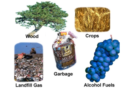 Biomass Power Generation Feasibility Study