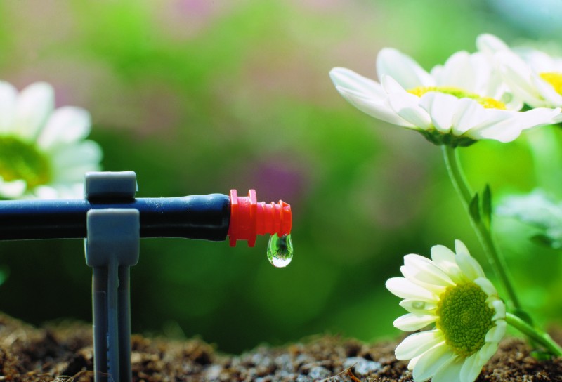Drip Irrigation Pakistan
