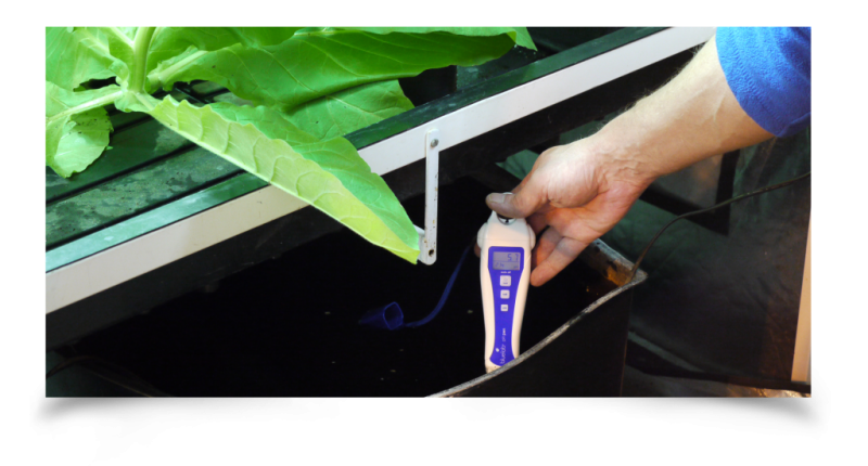 What is ideal PH in all hydroponic applications