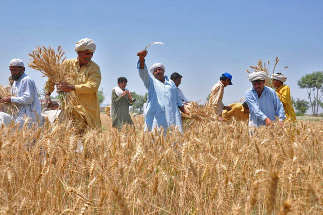 Punjab’s policy draft on farming of Pakistan