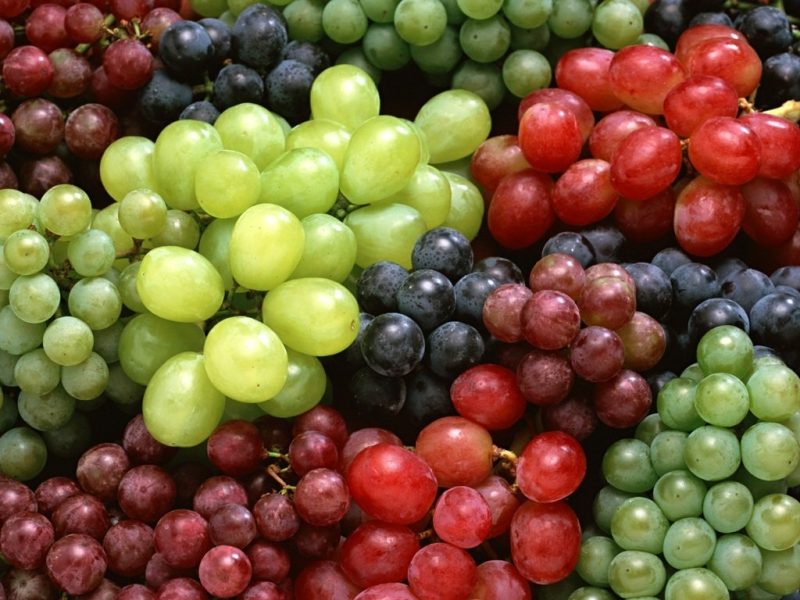 Varieties of Grapes in Pakistan