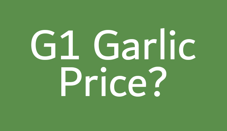 G1 garlic price per kg