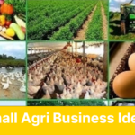 Money-Making Agriculture Business Ideas