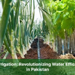 Drip Irrigation-Revolutionizing Water Efficiency in Pakistan