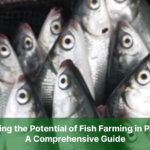 Fish Farming in Pakistan