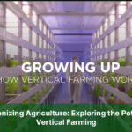 Revolutionizing Agriculture, Exploring the Potential of Vertical Farming