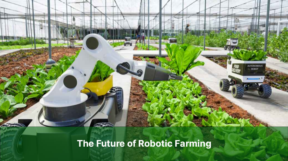 The Future of Robotic Farming