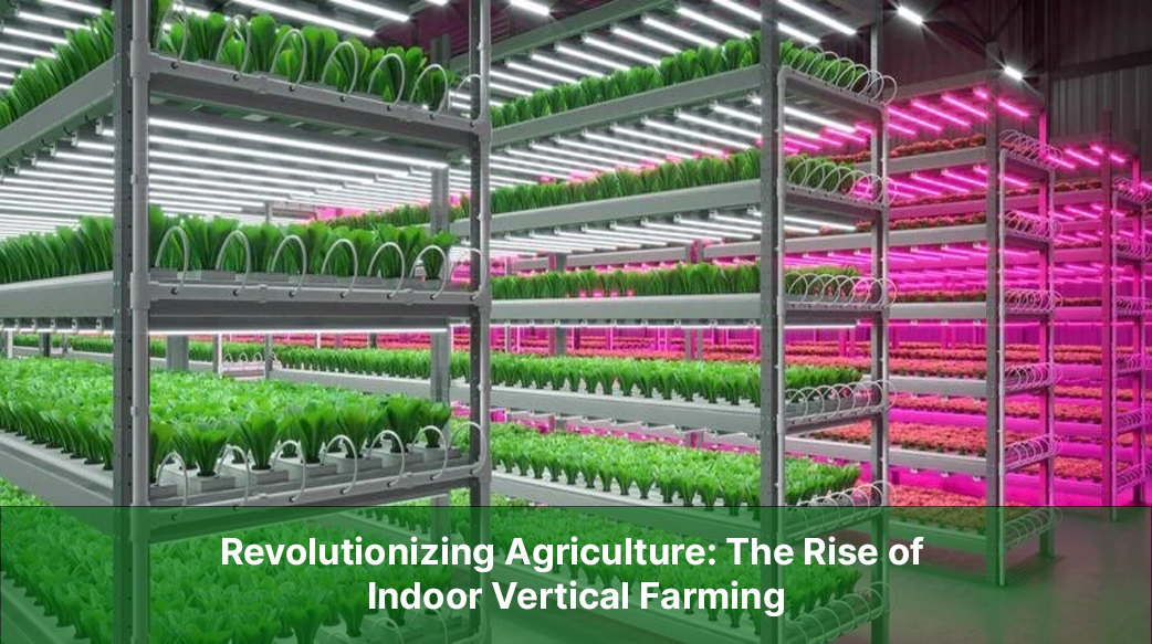 The Rise of Indoor Vertical Farming