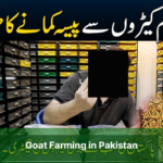 mealworms business in USA