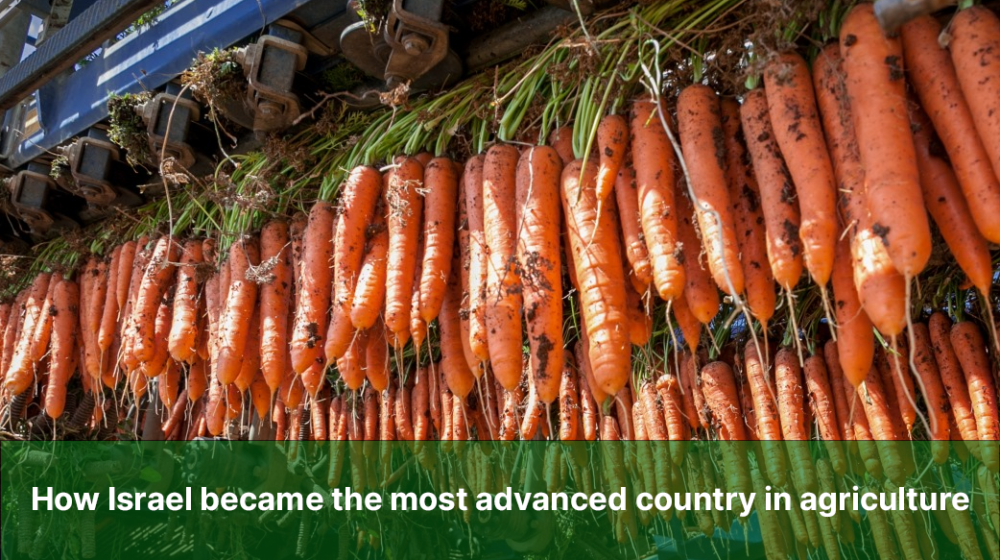 How Israel became the most advanced country in agriculture