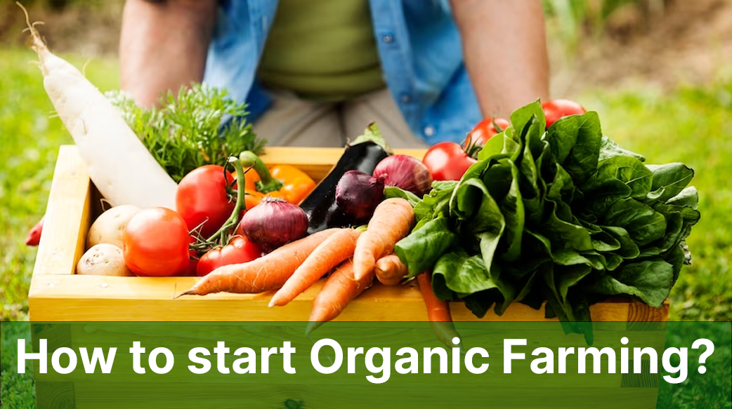 How to start Organic Farming in Pakistan