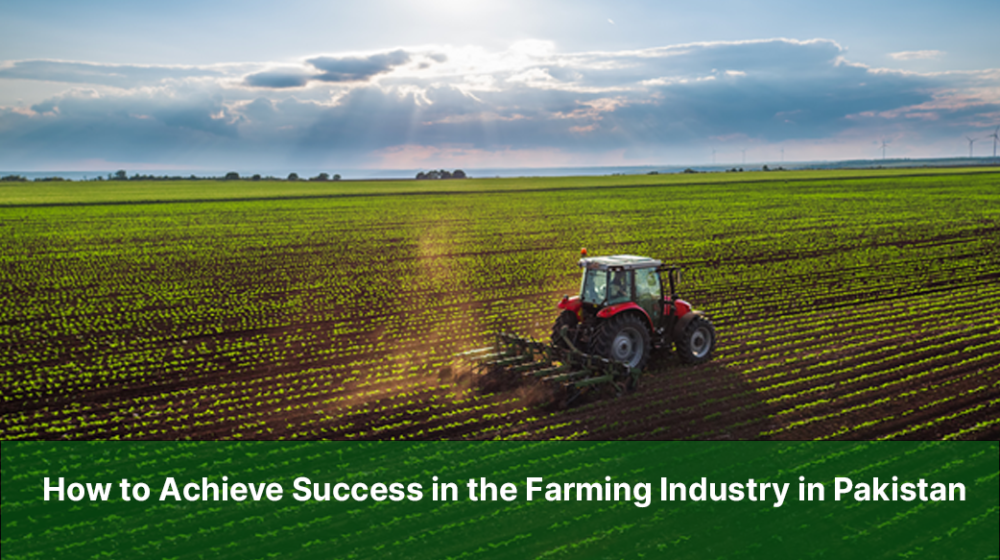How to Achieve Success in the Farming Industry in Pakistan