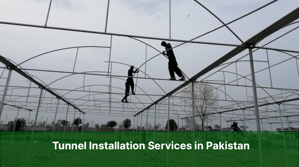 tunnel farming services in Pakistan