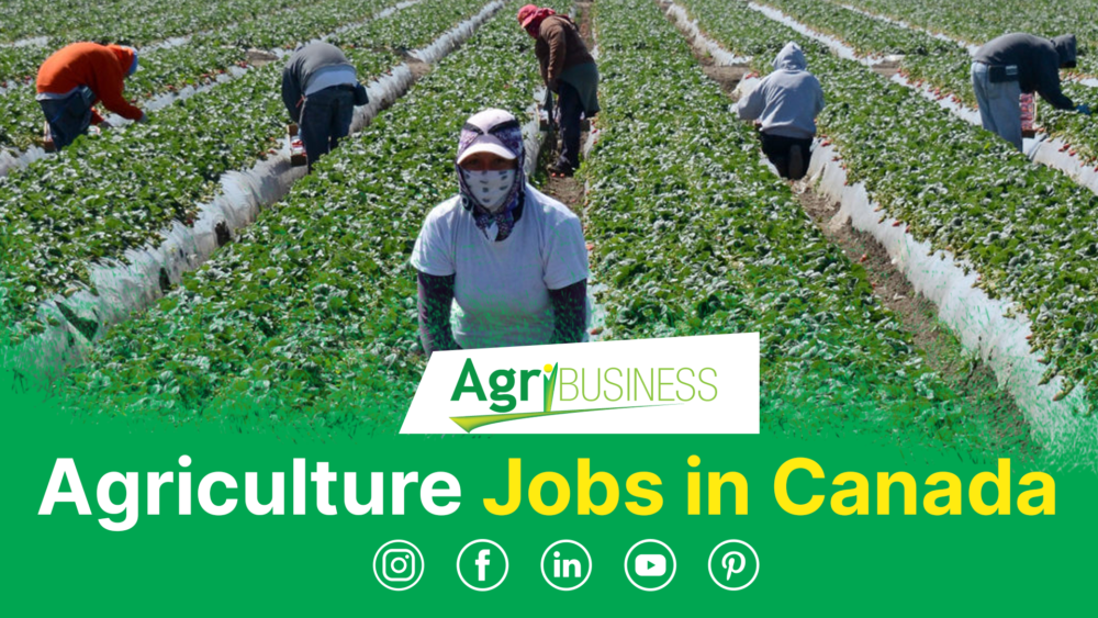 agriculture jobs in Canada