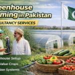 Greenhouse Farming Consultants in Pakistan